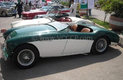 large_healey-2